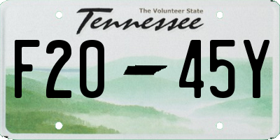 TN license plate F2045Y
