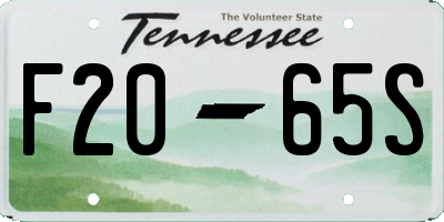 TN license plate F2065S