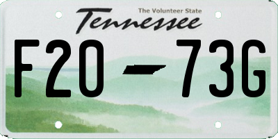TN license plate F2073G