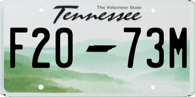 TN license plate F2073M