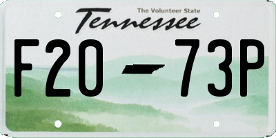 TN license plate F2073P