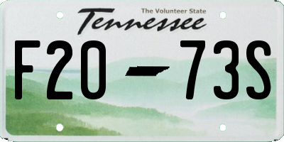 TN license plate F2073S
