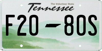 TN license plate F2080S