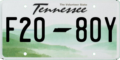 TN license plate F2080Y