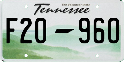 TN license plate F2096O