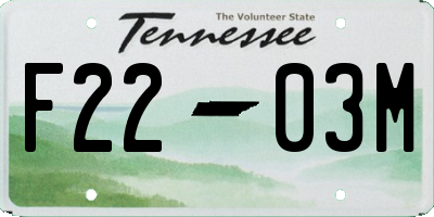 TN license plate F2203M