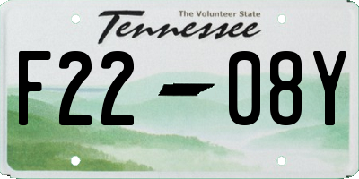 TN license plate F2208Y