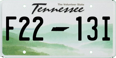 TN license plate F2213I