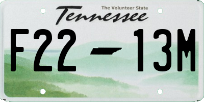 TN license plate F2213M