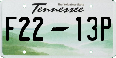 TN license plate F2213P