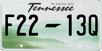 TN license plate F2213Q