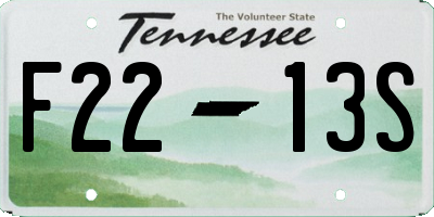 TN license plate F2213S
