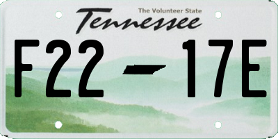 TN license plate F2217E