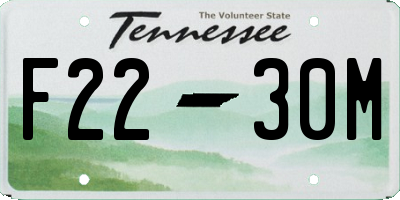 TN license plate F2230M
