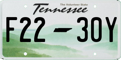 TN license plate F2230Y