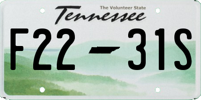 TN license plate F2231S