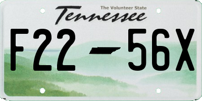 TN license plate F2256X