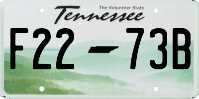 TN license plate F2273B