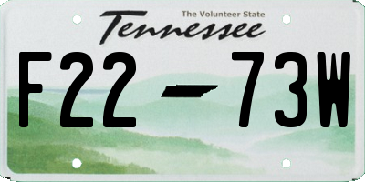 TN license plate F2273W