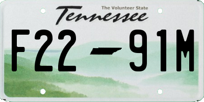 TN license plate F2291M