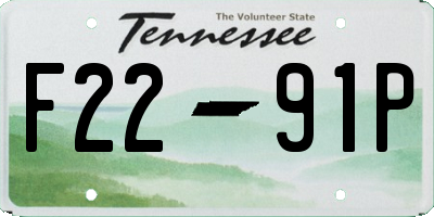TN license plate F2291P