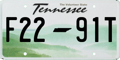 TN license plate F2291T