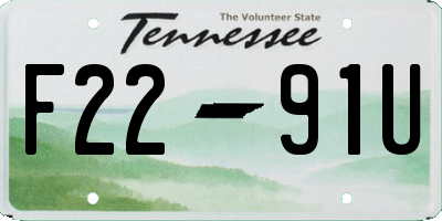 TN license plate F2291U