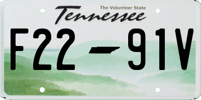 TN license plate F2291V