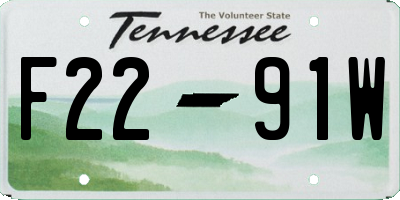 TN license plate F2291W