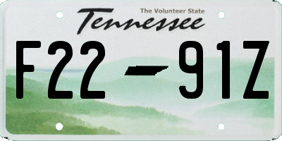 TN license plate F2291Z