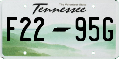 TN license plate F2295G