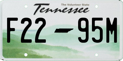TN license plate F2295M