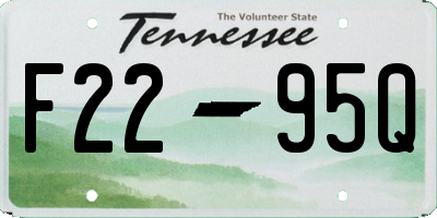 TN license plate F2295Q