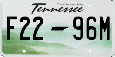 TN license plate F2296M