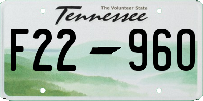 TN license plate F2296O