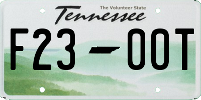 TN license plate F2300T