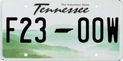 TN license plate F2300W