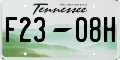 TN license plate F2308H
