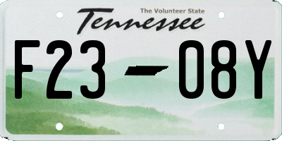 TN license plate F2308Y