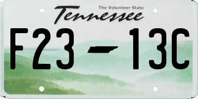 TN license plate F2313C