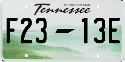TN license plate F2313E