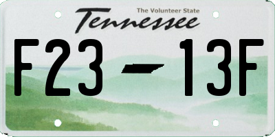 TN license plate F2313F