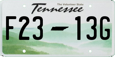 TN license plate F2313G