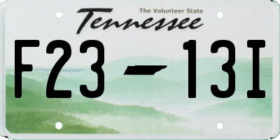 TN license plate F2313I