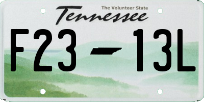 TN license plate F2313L