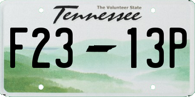 TN license plate F2313P