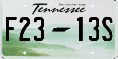 TN license plate F2313S