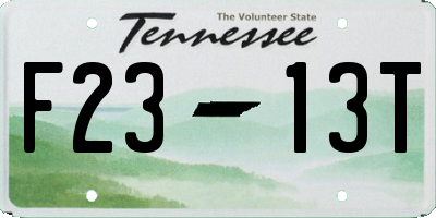 TN license plate F2313T