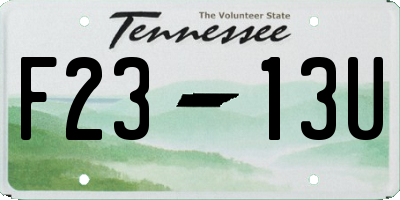 TN license plate F2313U