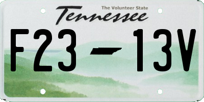 TN license plate F2313V